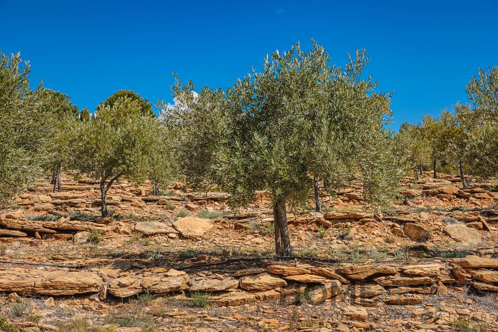 property_HH-16125148-16