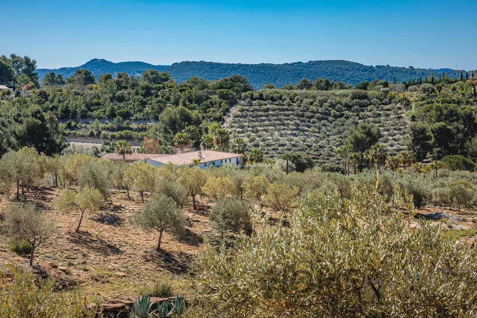 property_HH-16125148-17