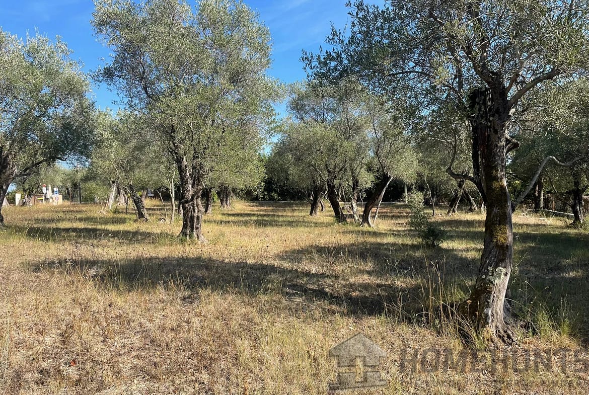 property_HH-15968456-3