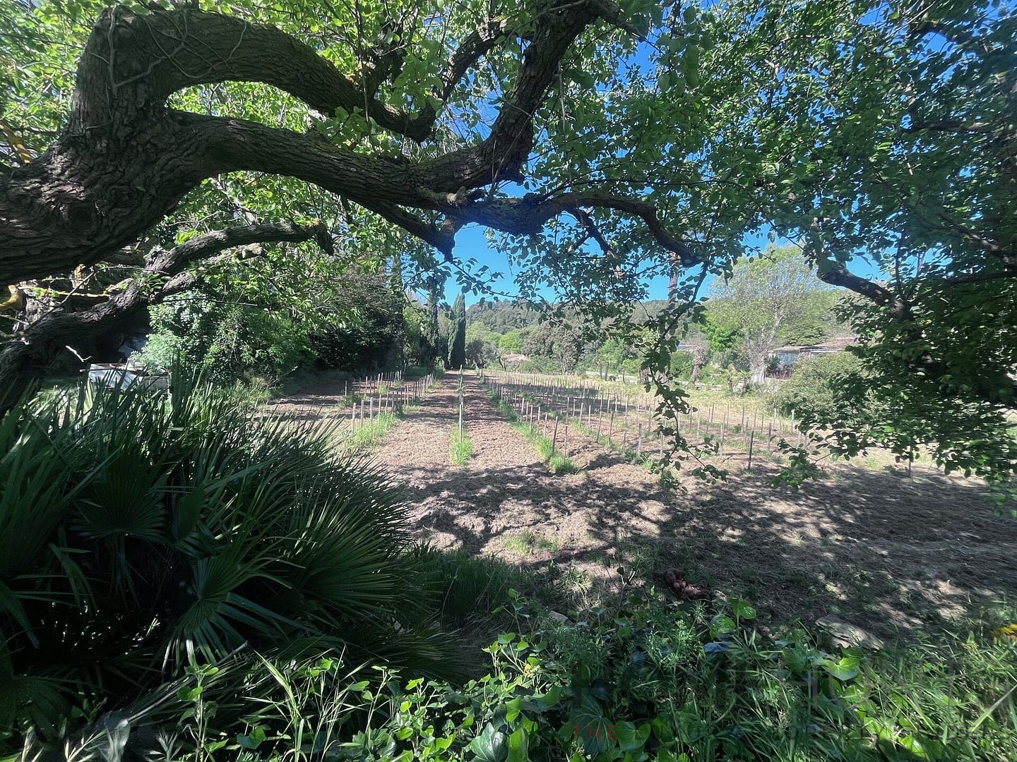 property_HH-16147882-10