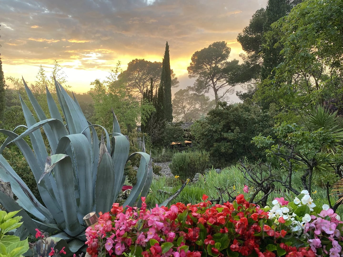 property_HH-16156892-3