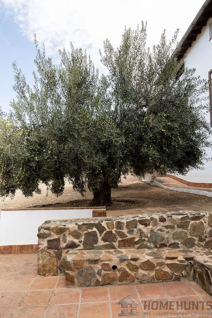 property_HH-15971317-30