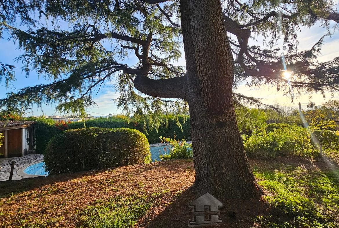 property_HH-15969477-6