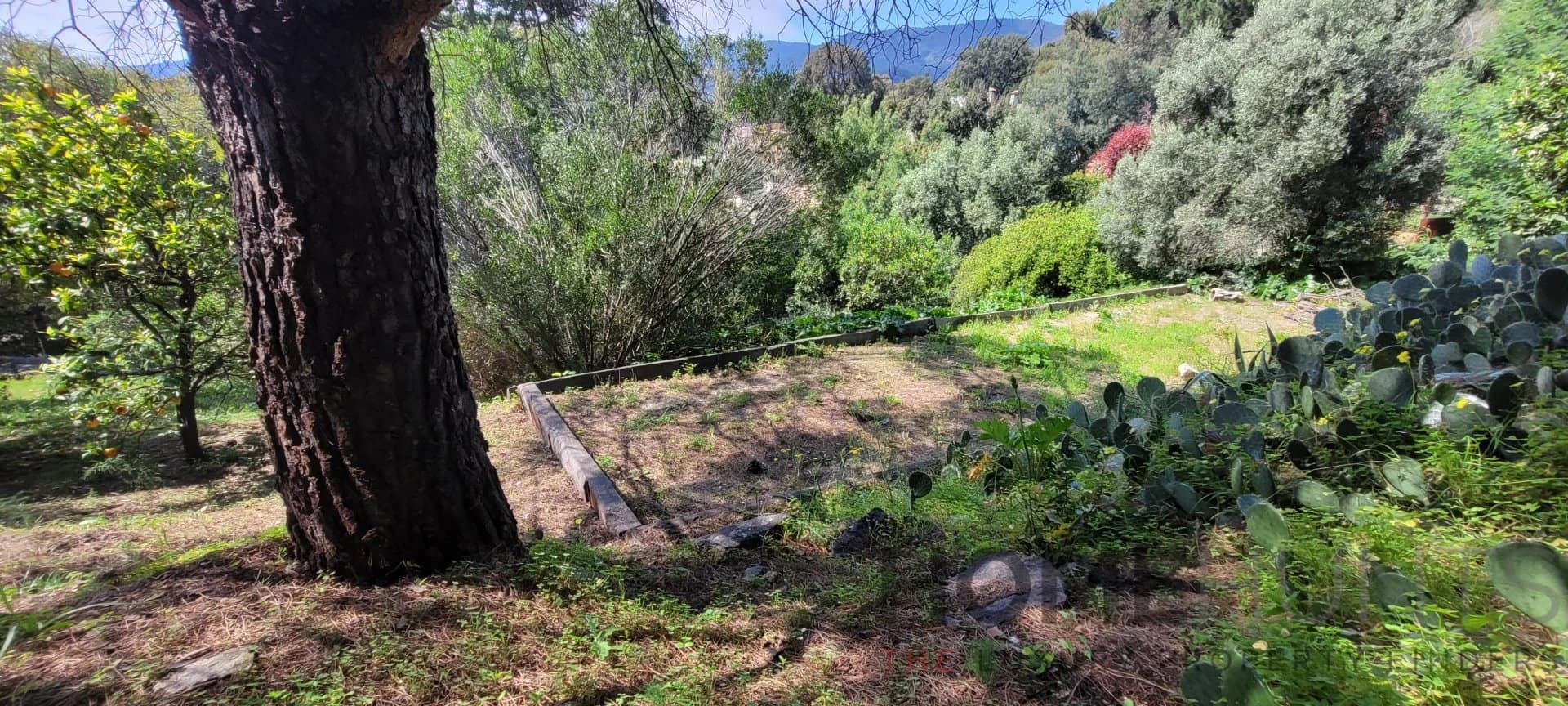 property_HH-16156898-2
