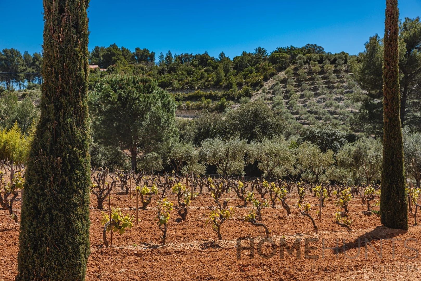 property_HH-16125148-24