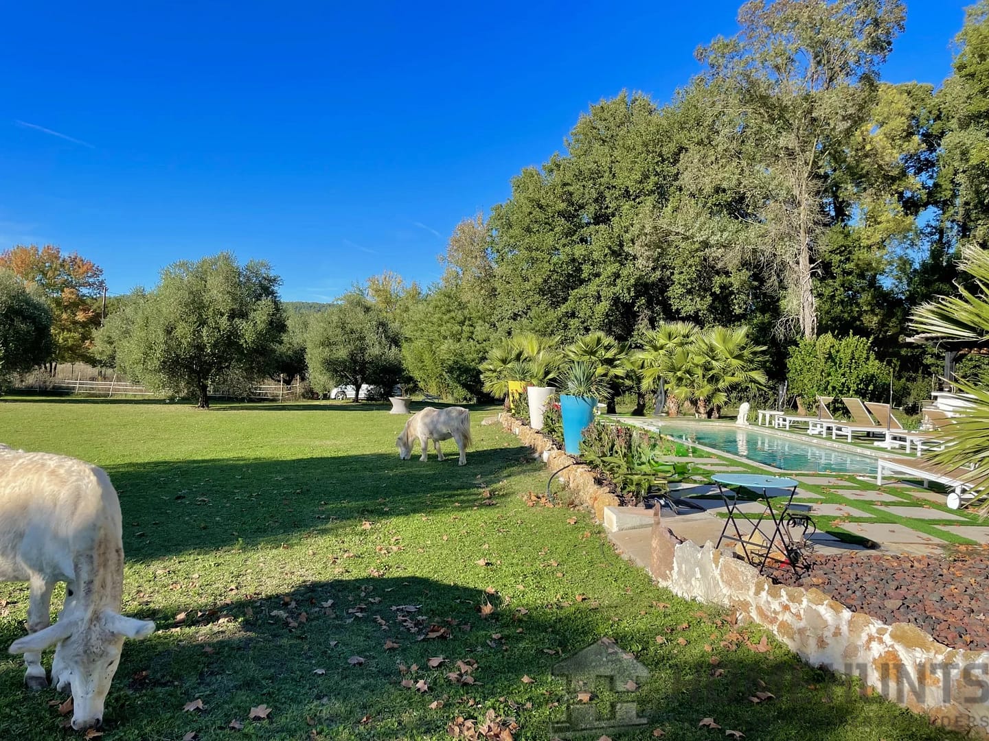 property_HH-15976286-26