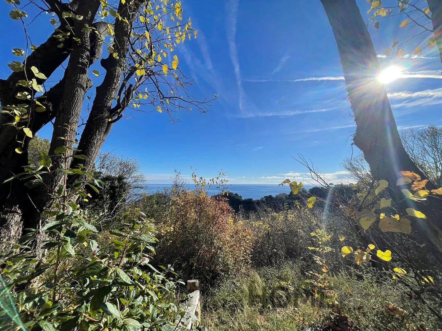 property_HH-16117918-5