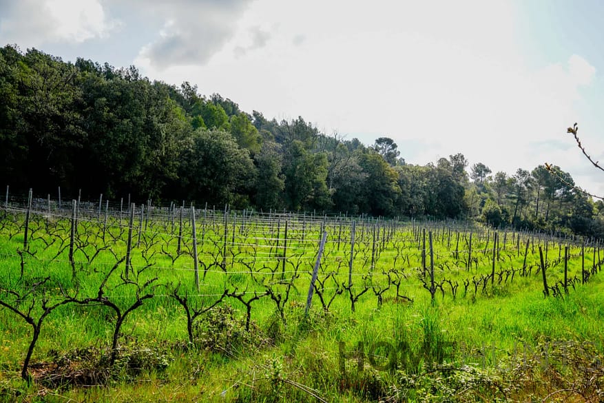 property_HH-16148938-29