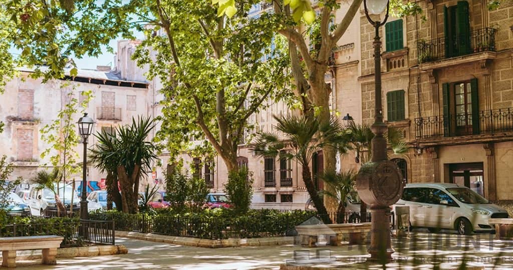 Hotels/gites For Sale in Palma 16