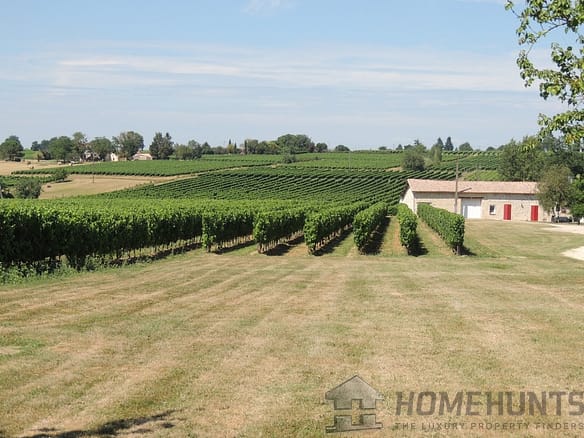 Vineyard For Sale in Castillon La Bataille 11
