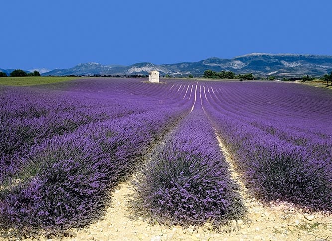 french property in provence
