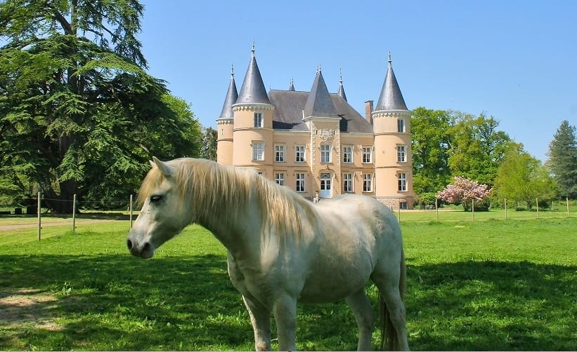 7 Top Tips for Buying a French Chateau 2