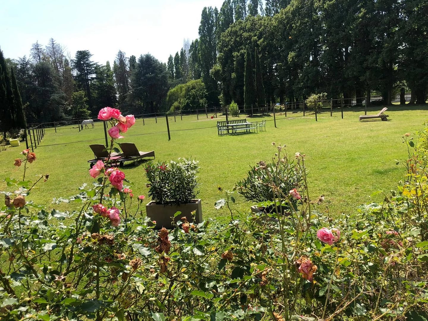 property_HH-16144148-5