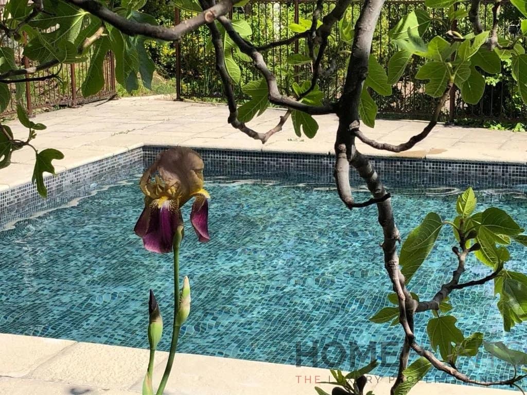 property_HH-16129096-5