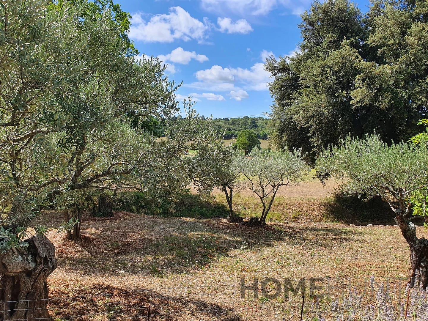 property_HH-16118320-20