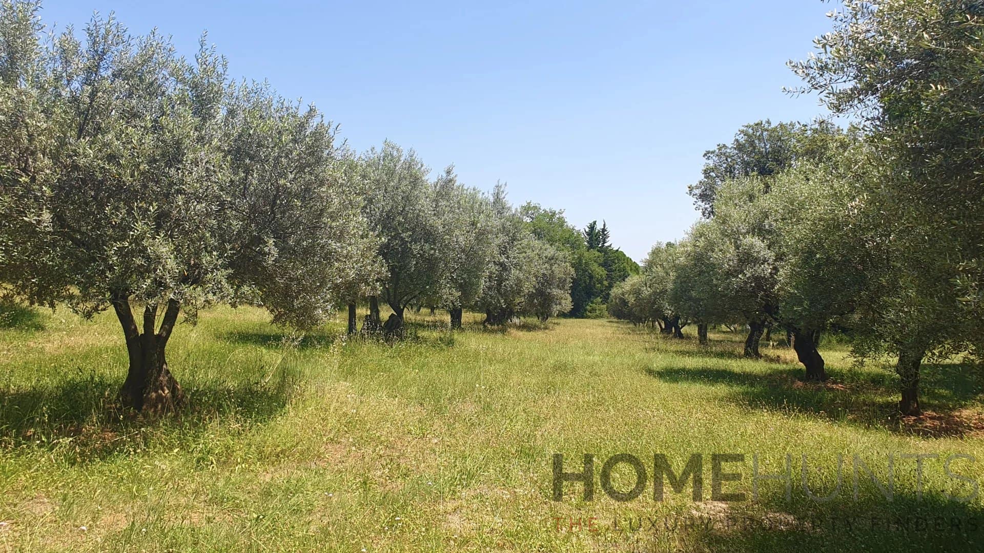 property_HH-16118320-21