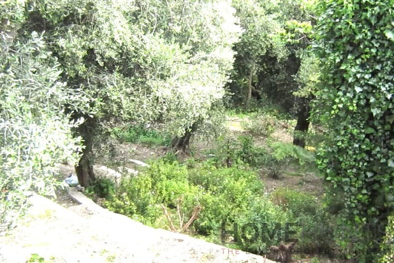 property_HH-16177777-10