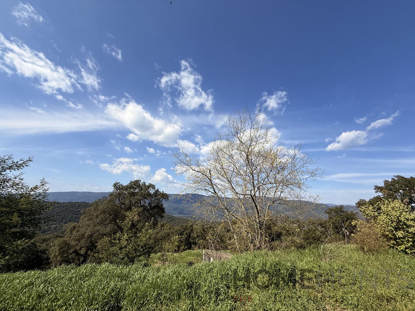 property_HH-16124840-16