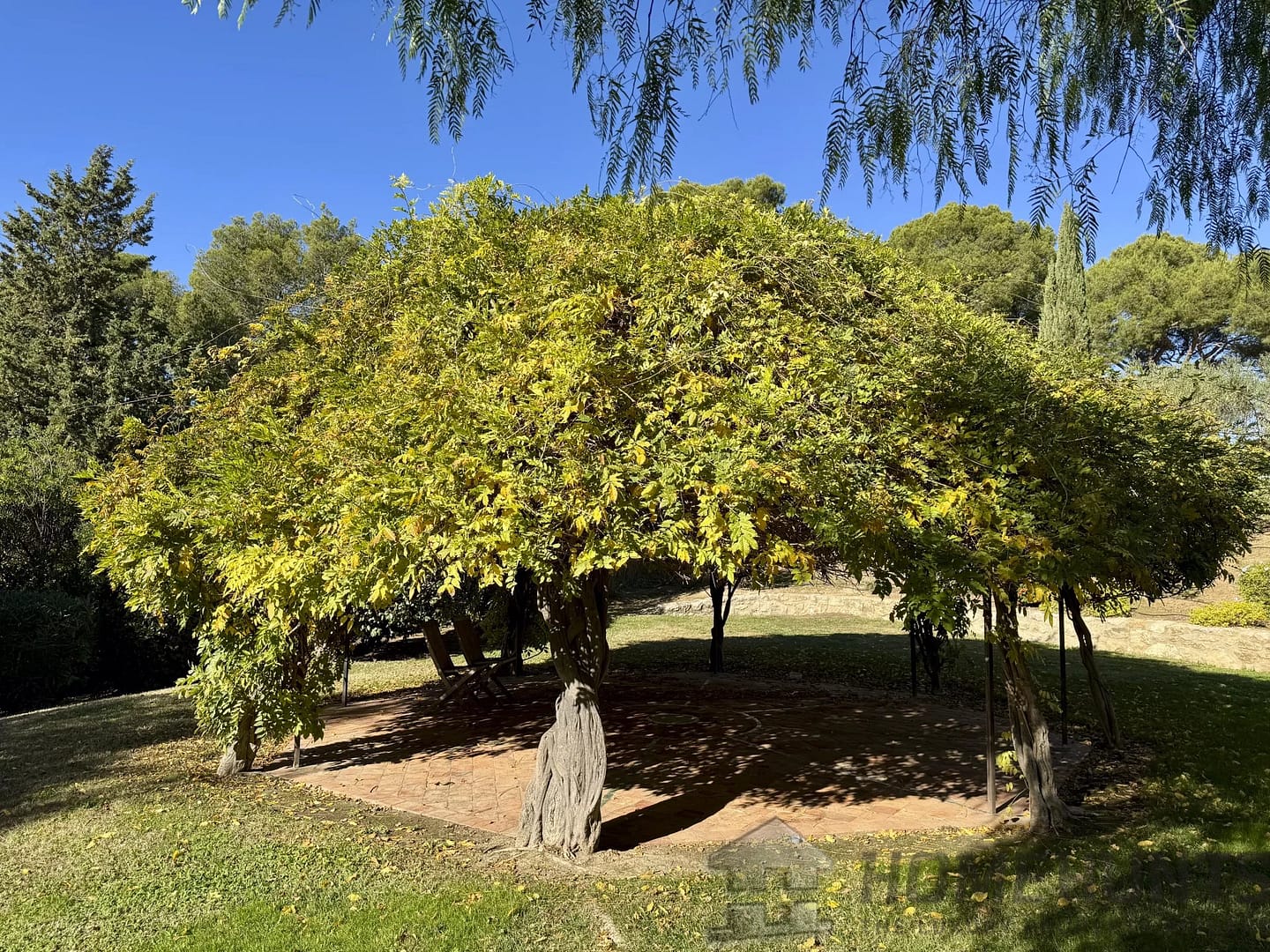 property_HH-16014265-4