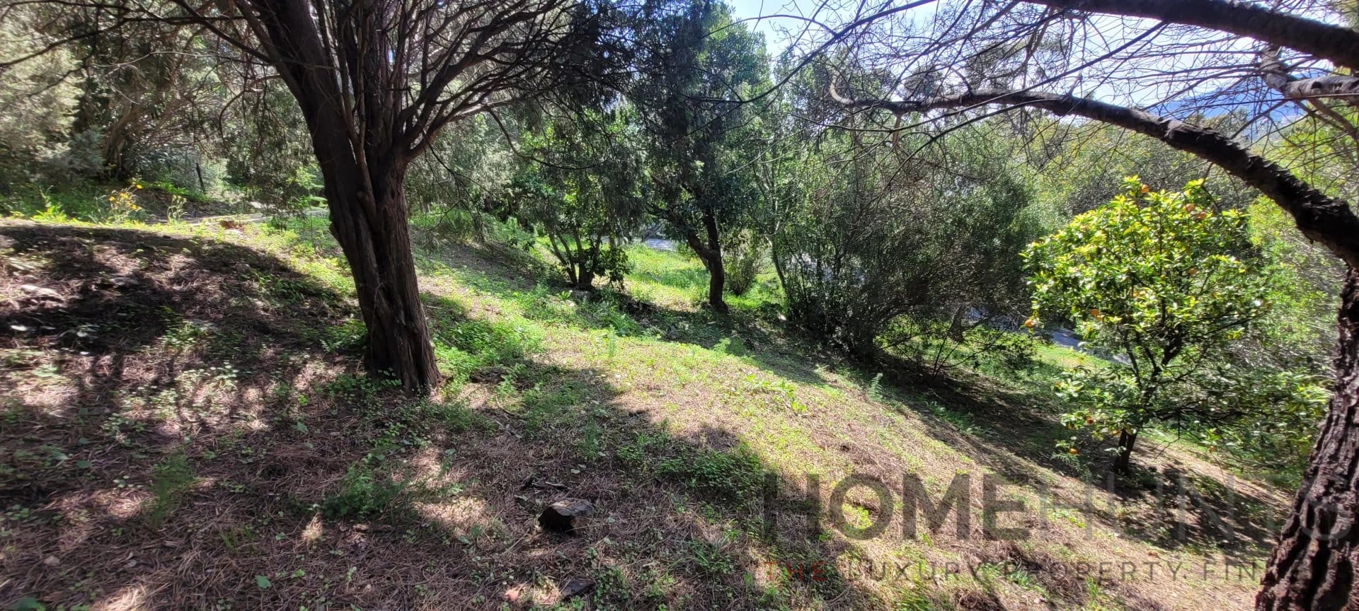 property_HH-16156898-5