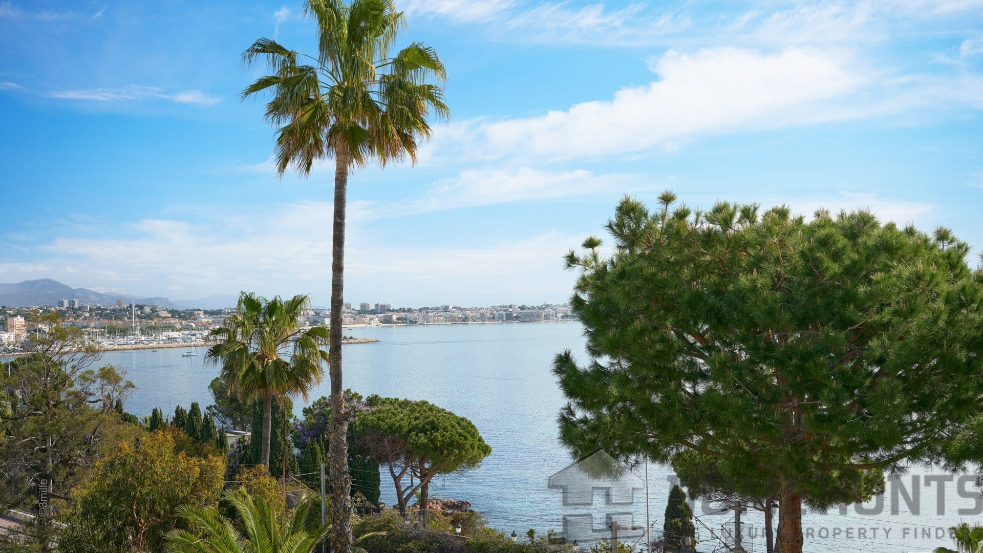 Apartment For Sale in Cannes 4