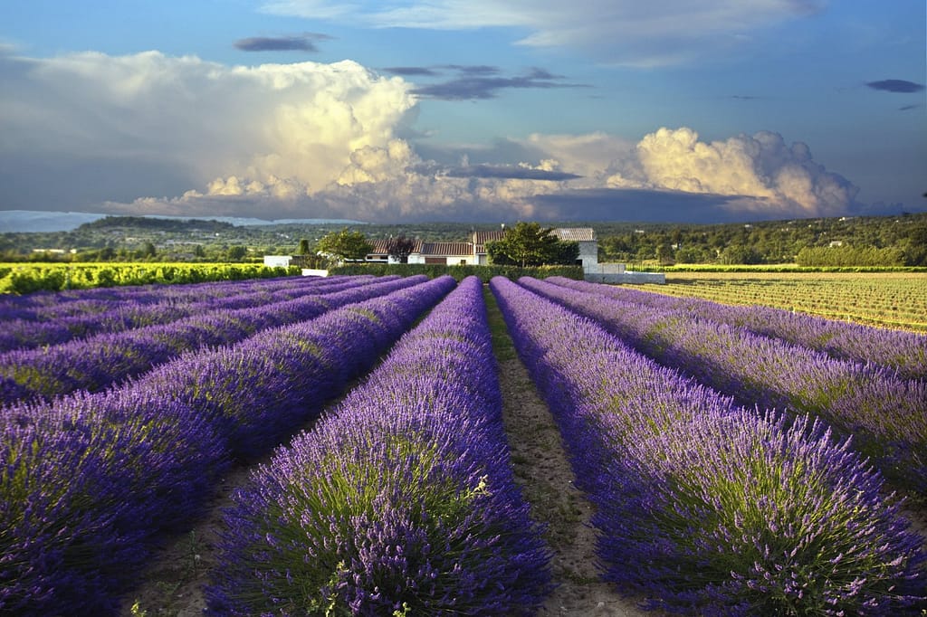 Demand Increases for Property for Sale in Provence