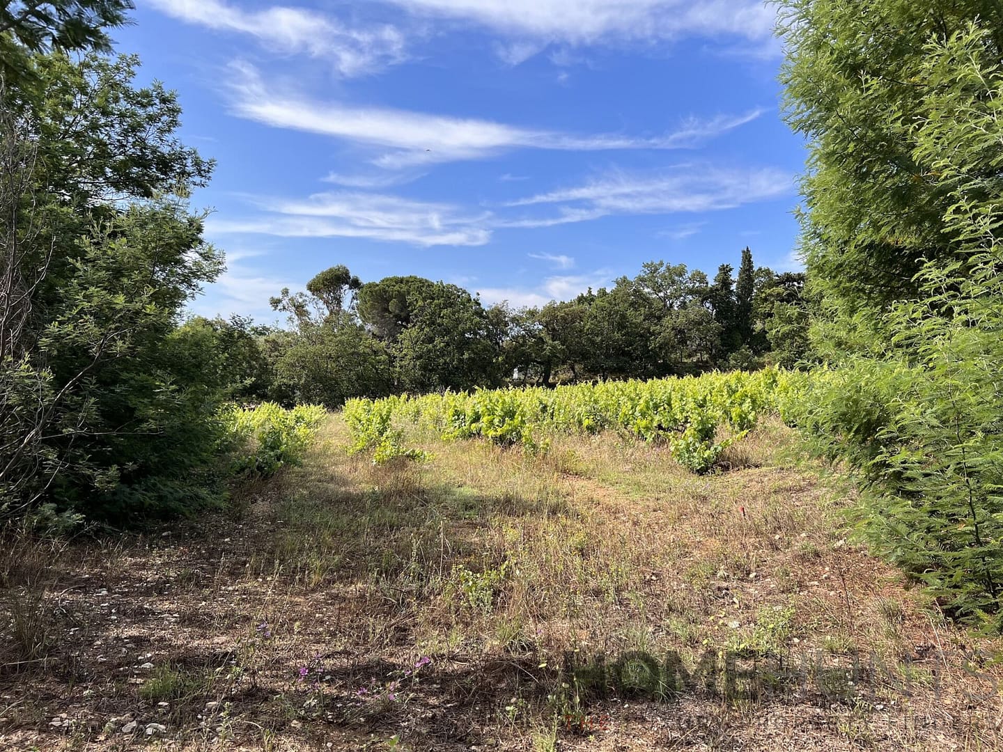 Land For Sale in Ramatuelle HH15016668