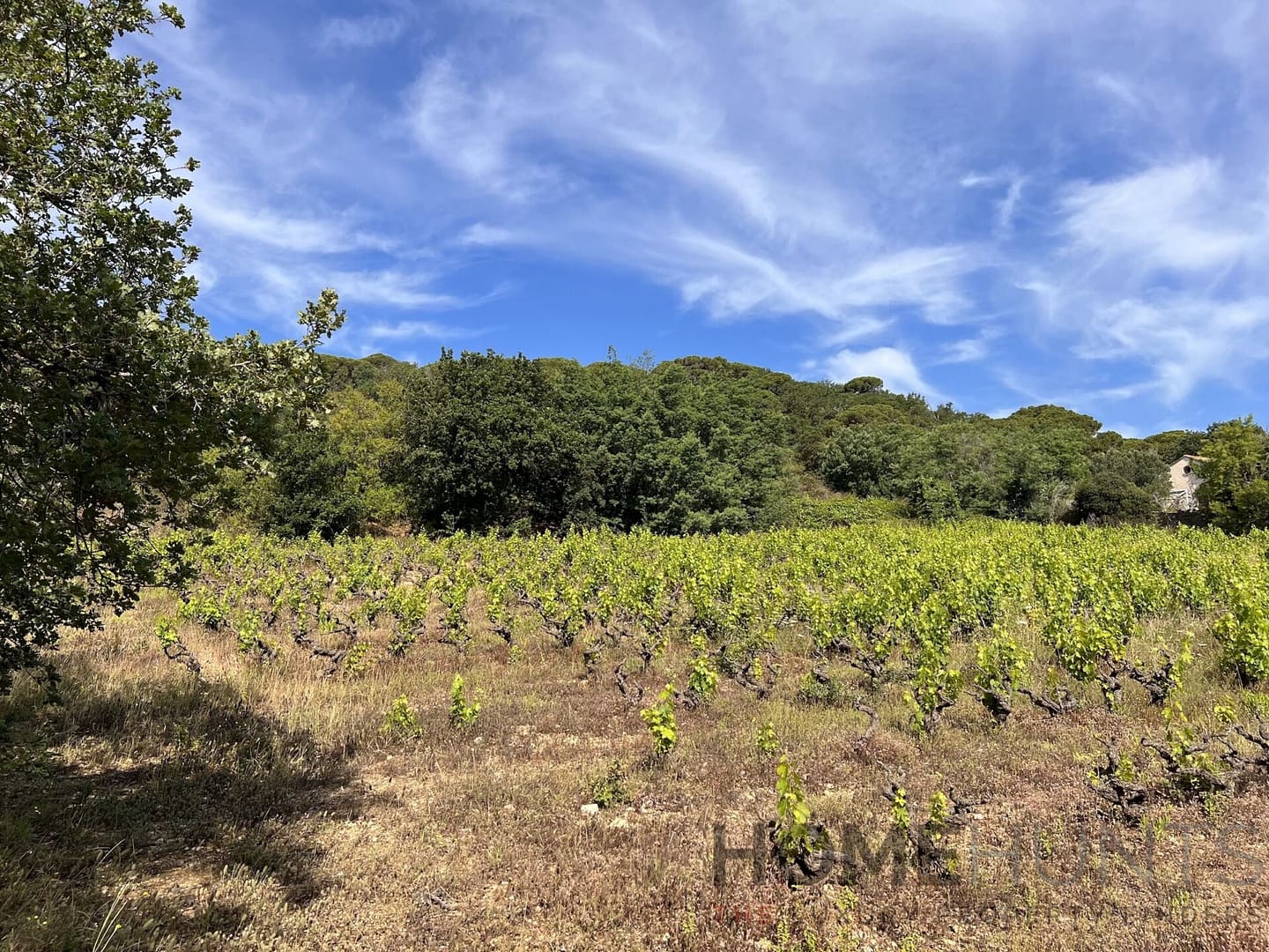 Land For Sale in Ramatuelle HH15016668