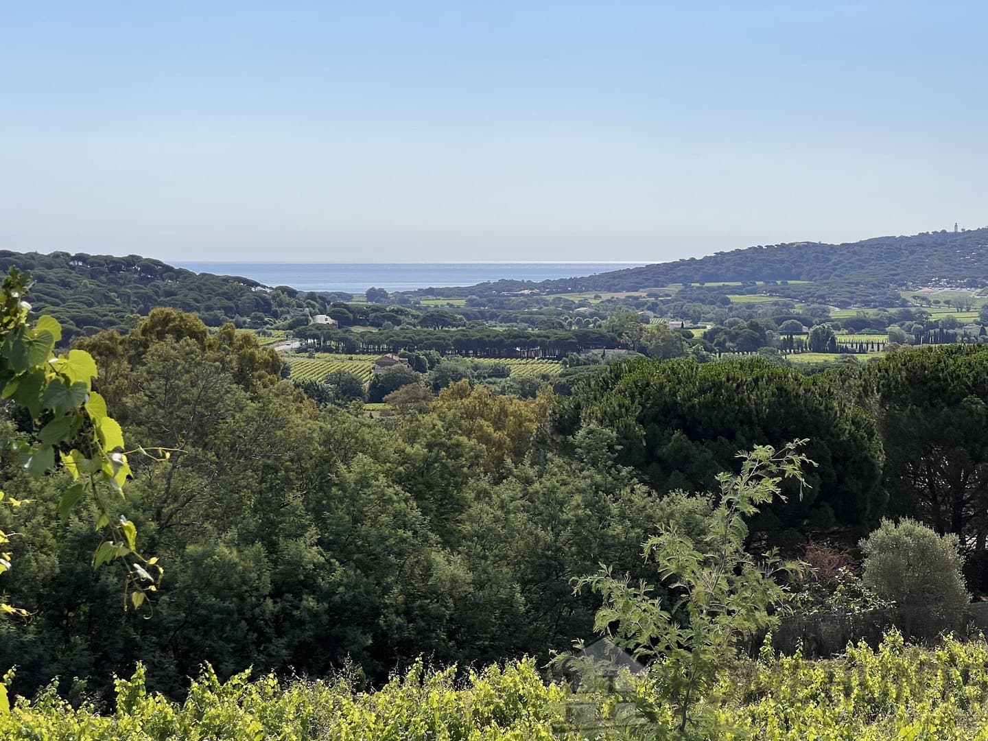 Land For Sale in Ramatuelle HH15016668