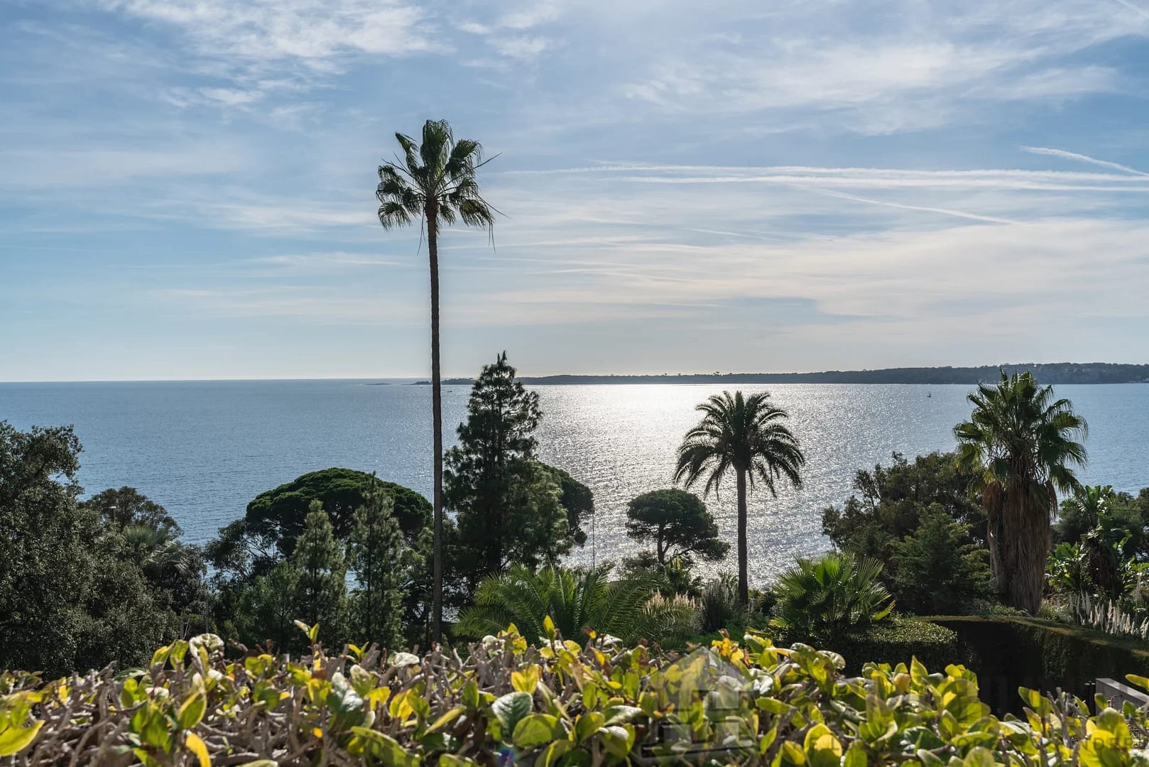 4 Bedroom Apartment in Cannes 5