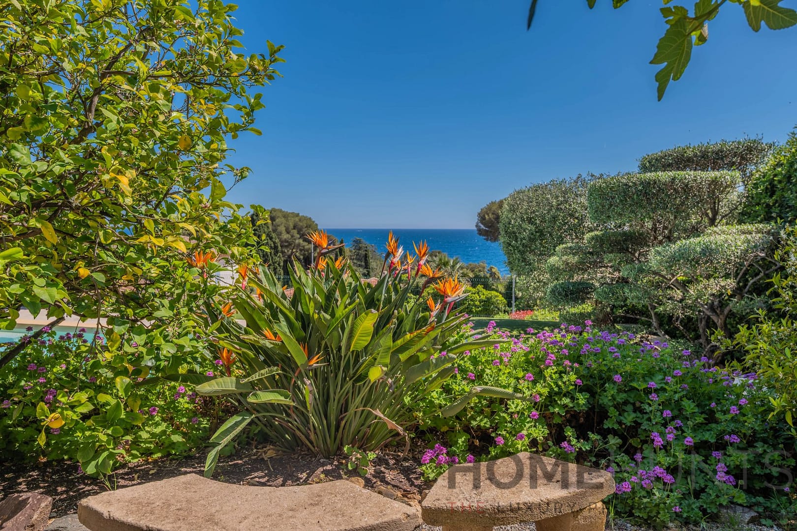 property_HH-16157394-8