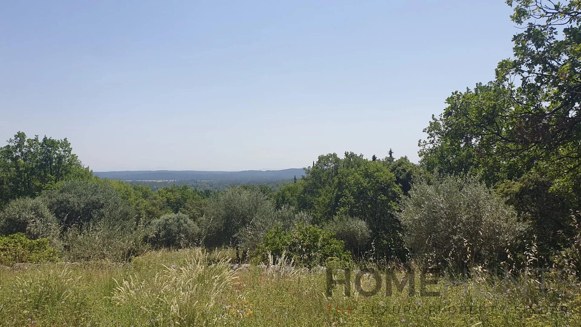 property_HH-16118320-19