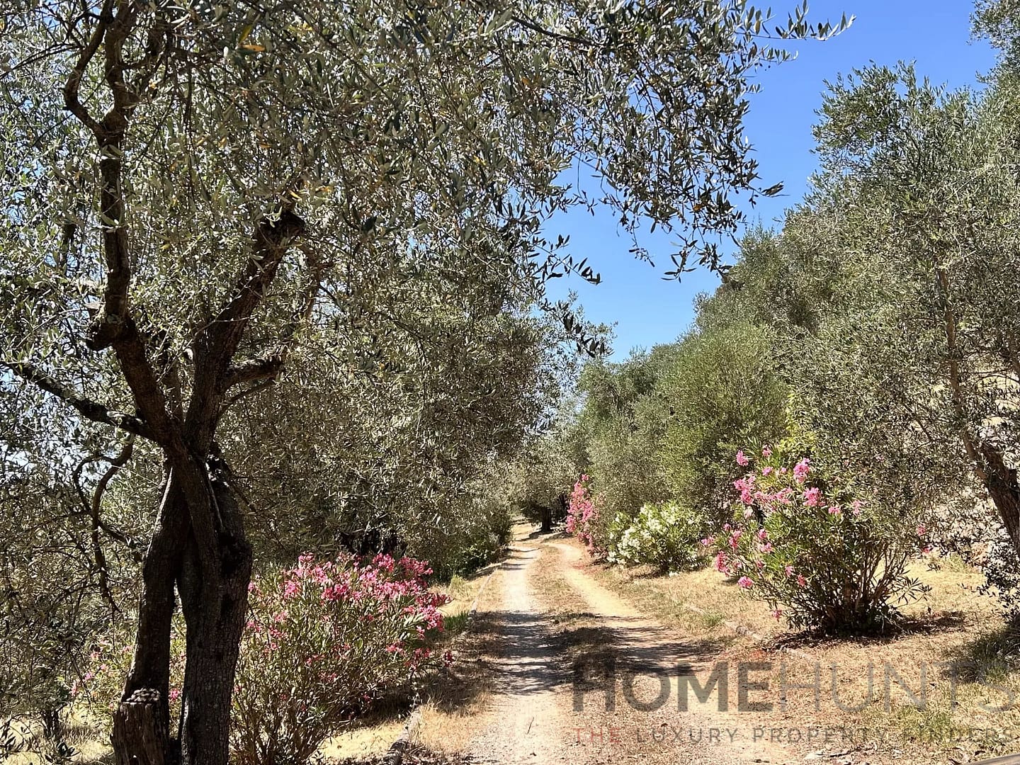 property_HH-16088561-21