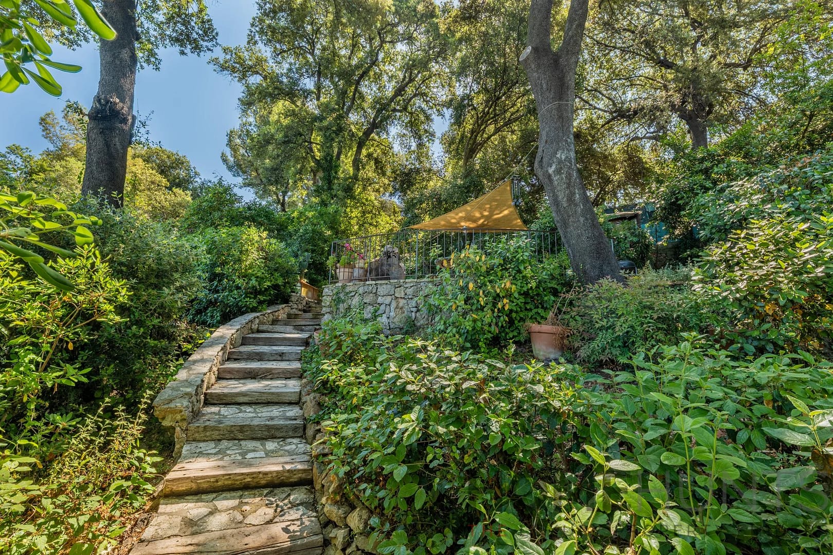 property_HH-15851461-26