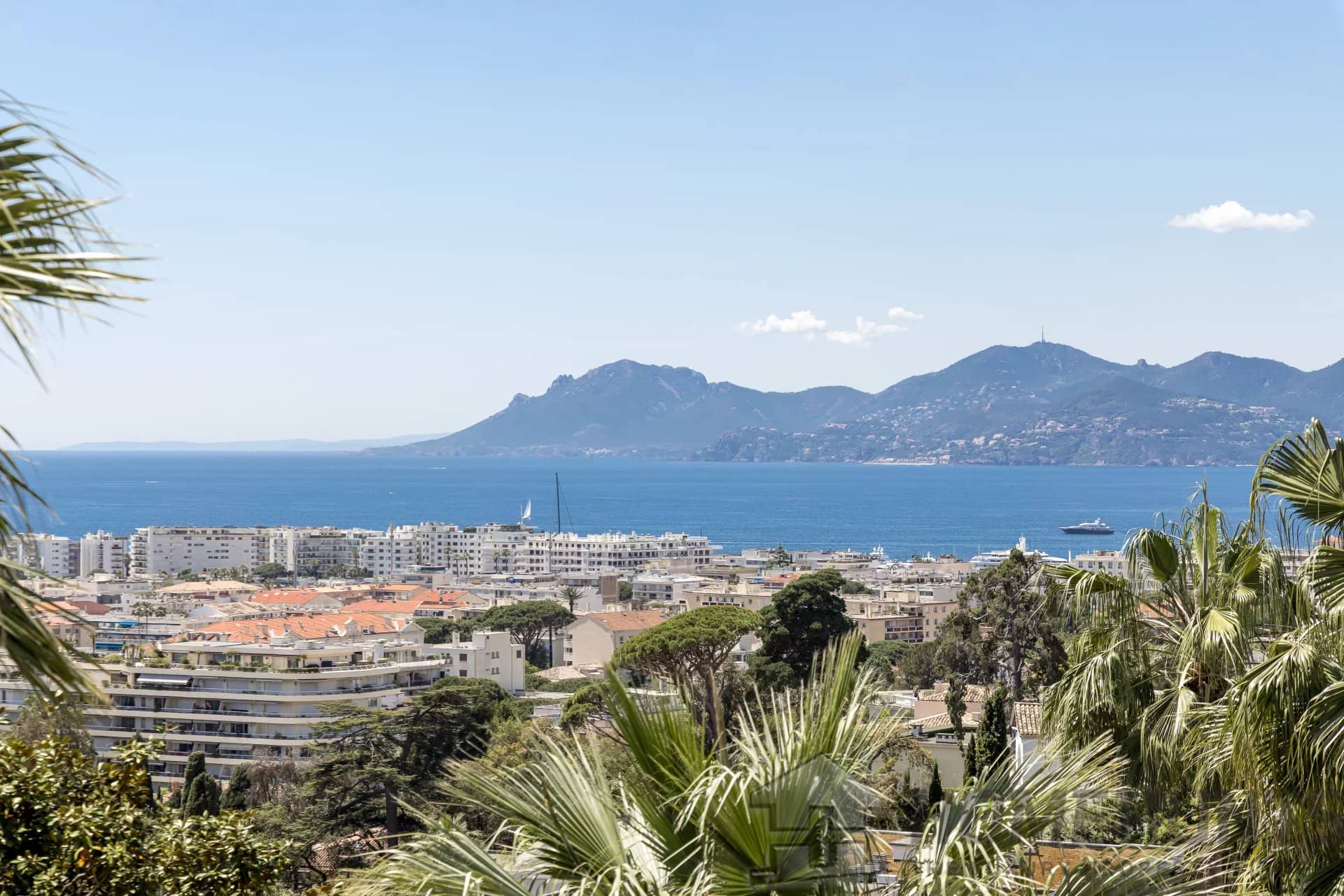 Apartment For Sale in Cannes 12