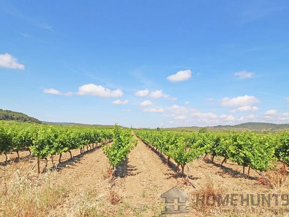 Vineyard For Sale in Narbonne 18