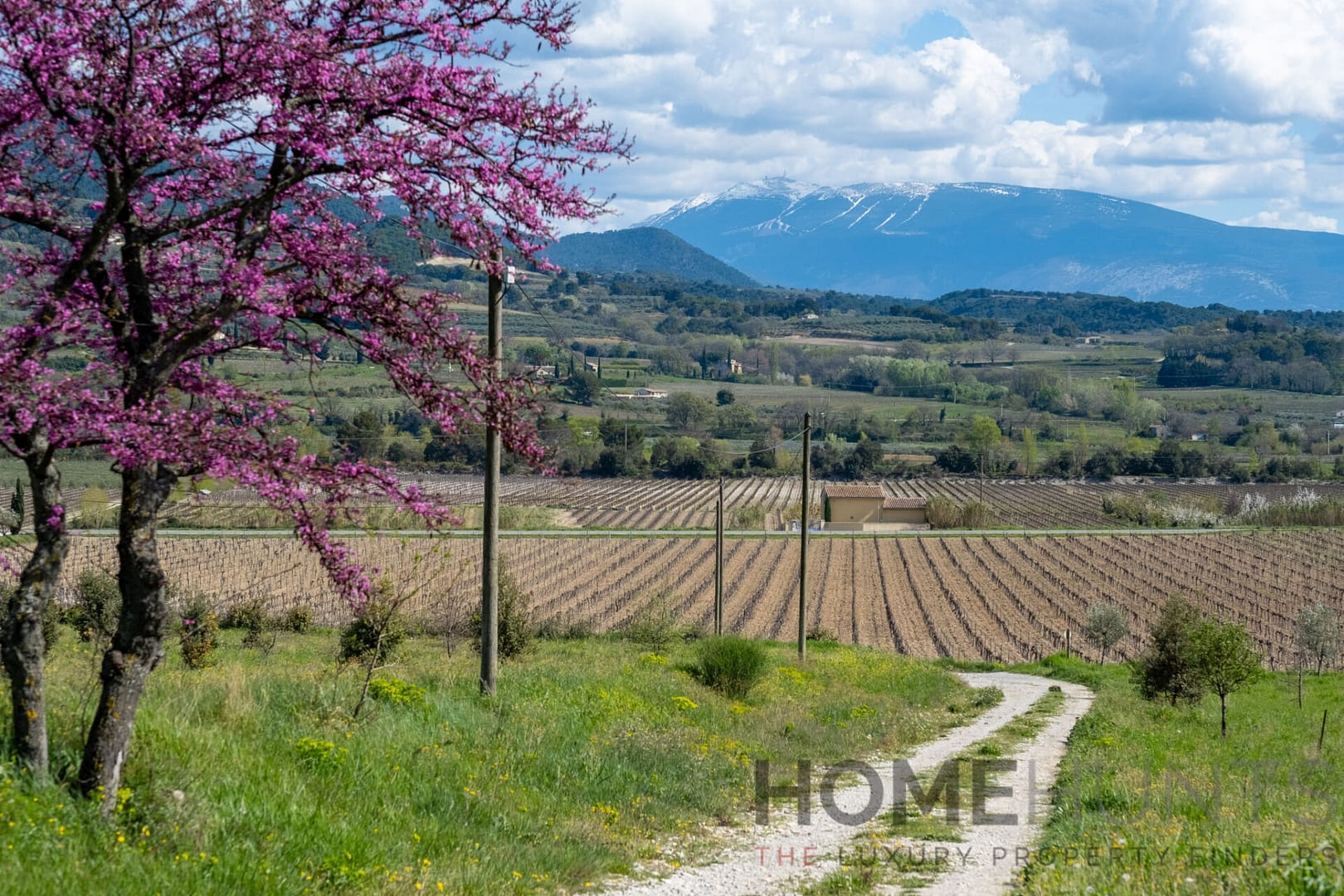 property_HH-16124870-6