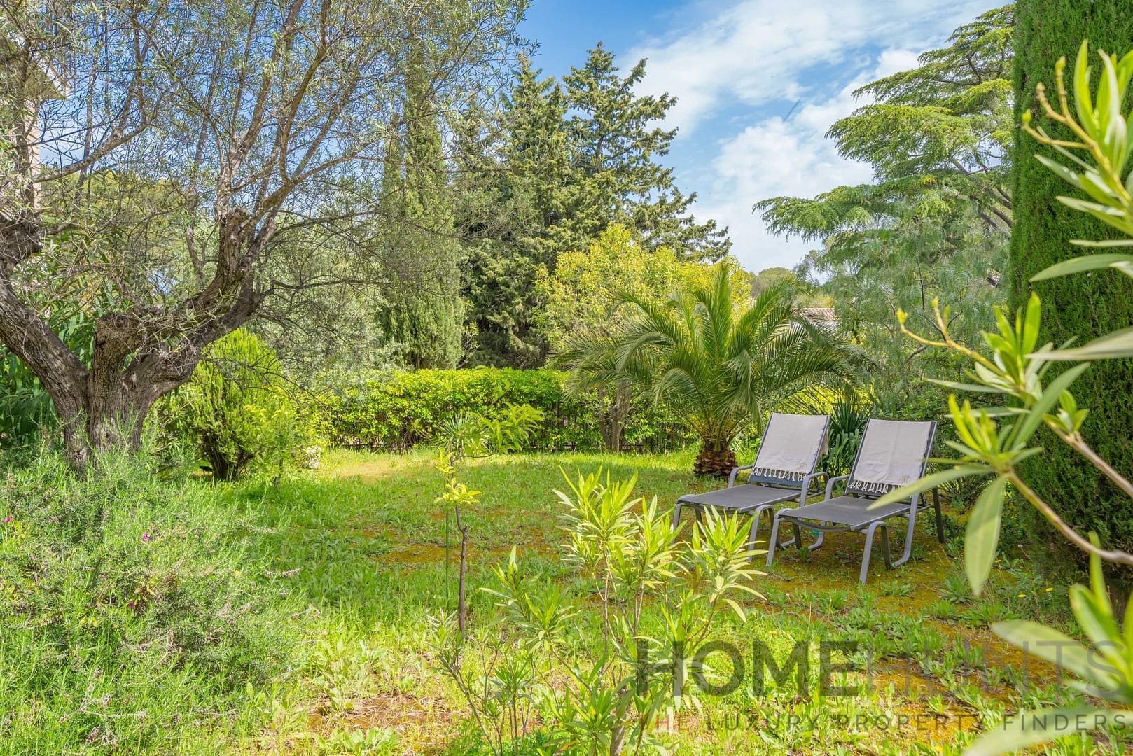 property_HH-16170482-5