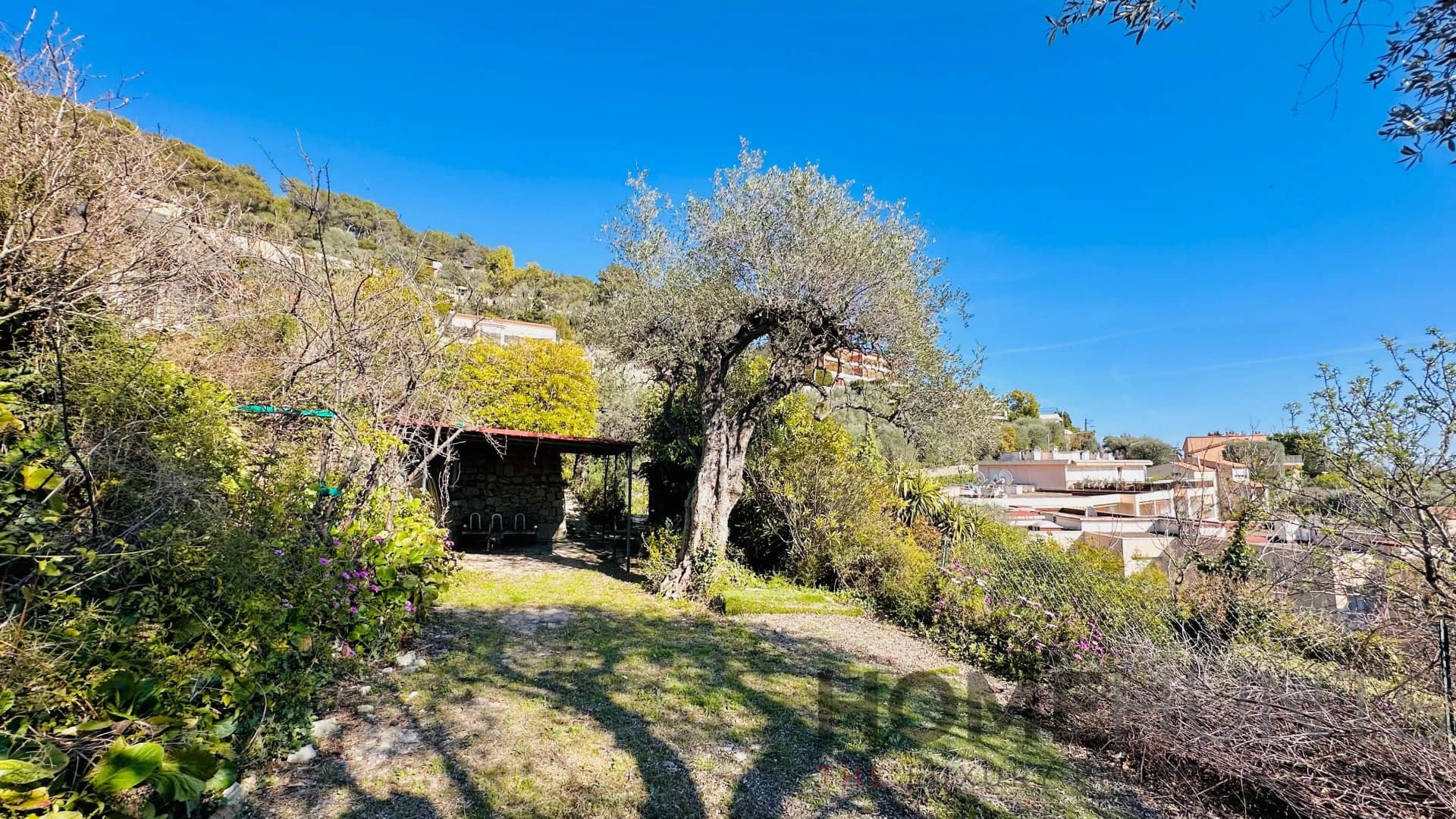 property_HH-16151993-5