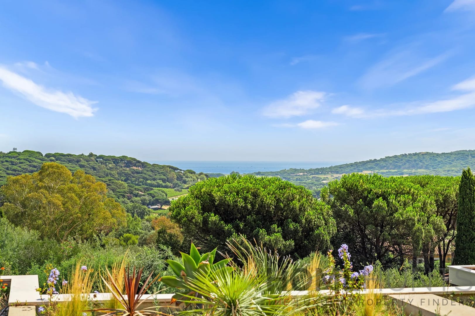 property_HH-15892875-3