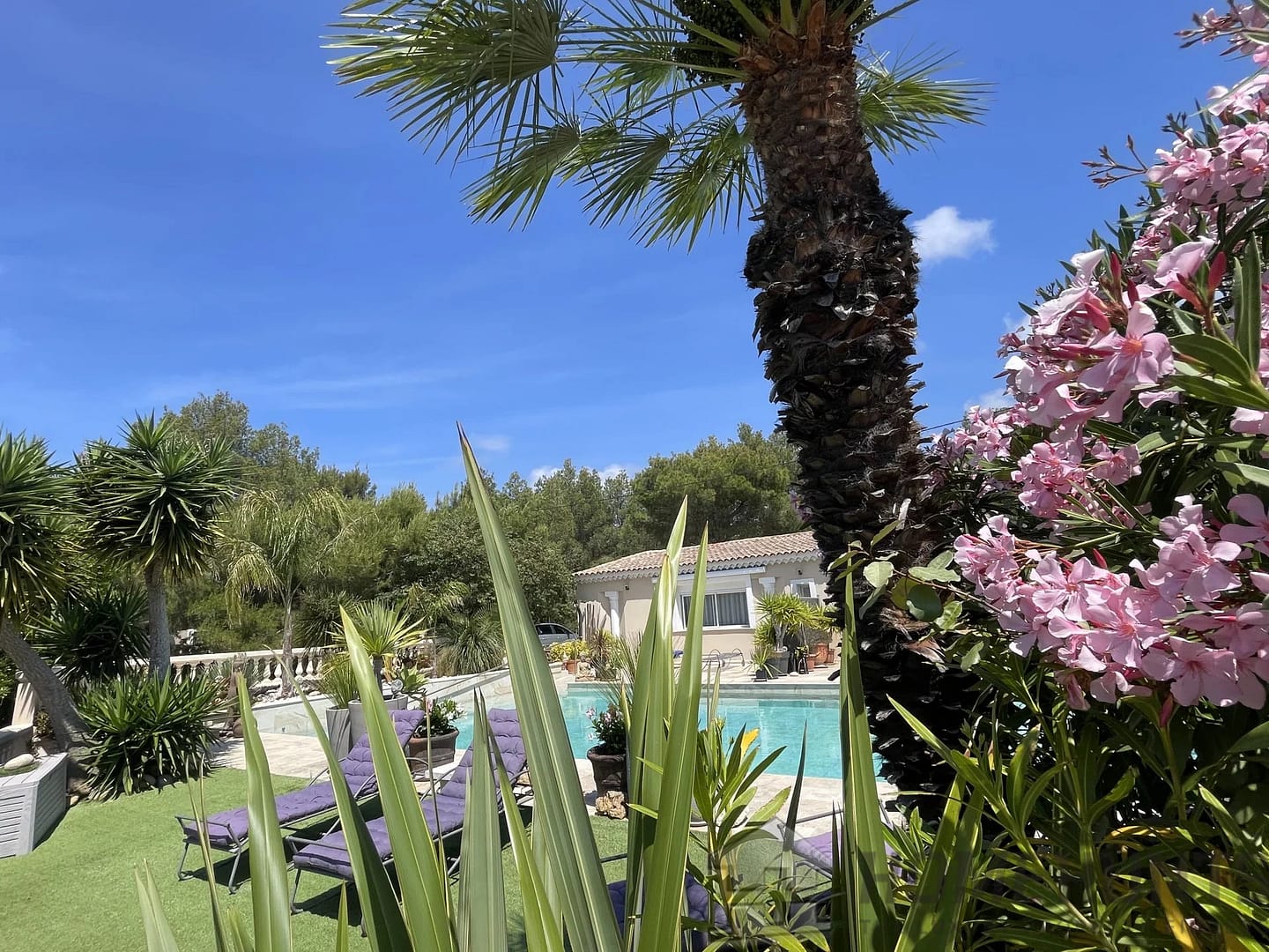 property_HH-15114301-11