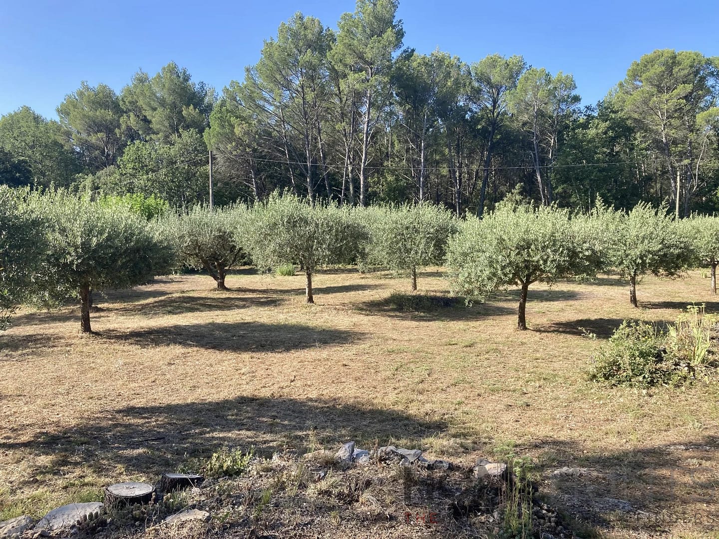 property_HH-16144005-22