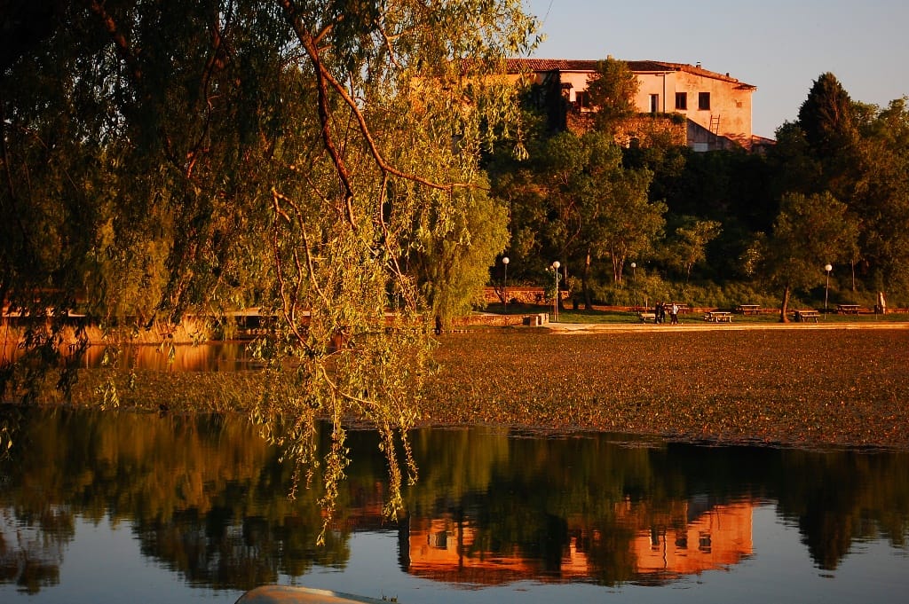 living in provence