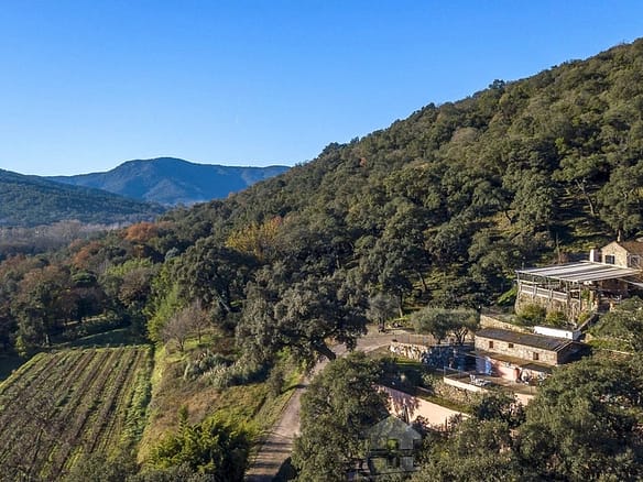 5 Bedroom Vineyard in Cogolin 16