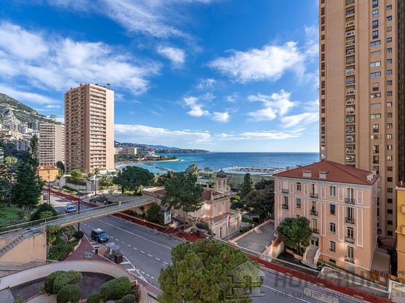 2 Bedroom Apartment in Monaco 32