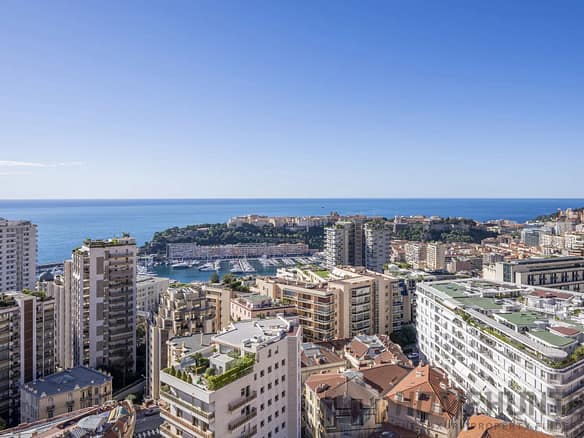 2 Bedroom Apartment in Monaco 2