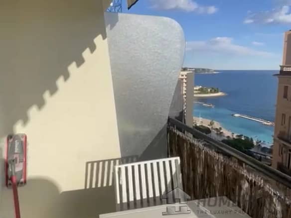 1 Bedroom Apartment in Monaco 18