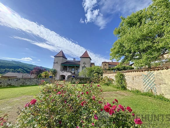 20 Bedroom Castle/Estates in Mâcon 22