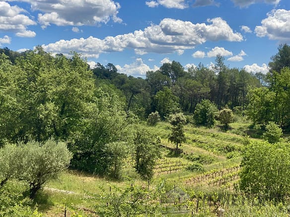 4 Bedroom Vineyard in Cotignac 22