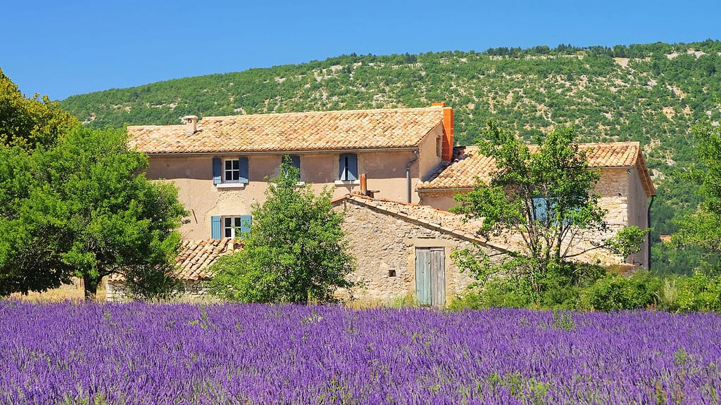 Luxury Properties across Provence